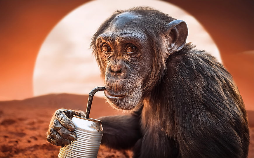 Chimpanzee drinking soda on Mars with giant planet background