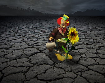 Surreal clown watering sunflower in cracked desert landscape