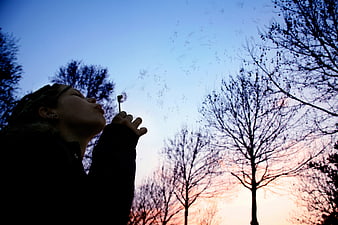 Silhouette of Woman Blowing Dandelion Seeds at Sunset