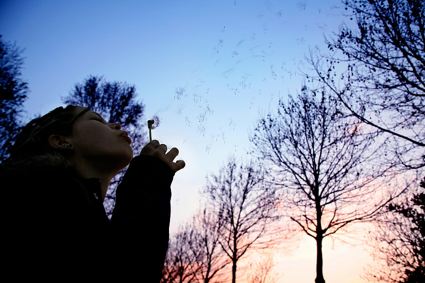 Silhouette of Woman Blowing Dandelion Seeds at Sunset