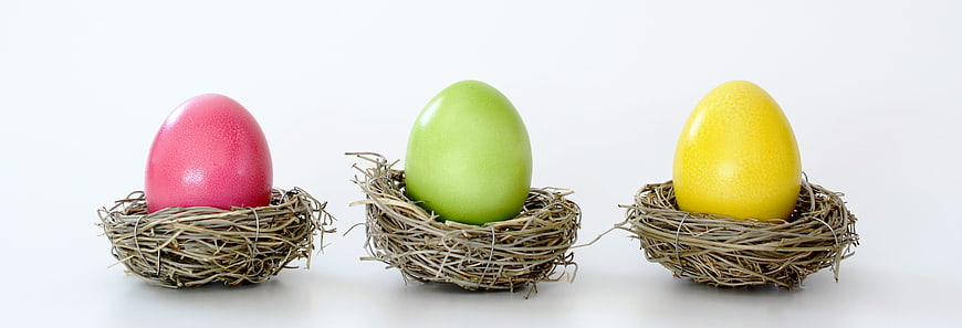 Three colorful Easter eggs in nests on white background