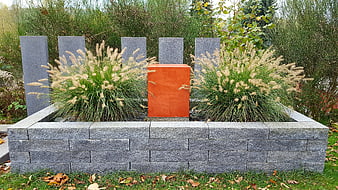 Modern garden planter with ornamental grasses and orange cube