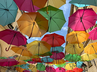 Colorful Umbrellas Hanging Over Street