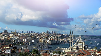 Istanbul Cityscape with Galata Tower and Mosque