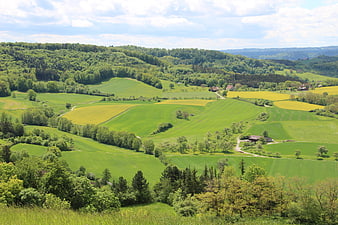 Rolling green hills and yellow rapeseed fields in spring