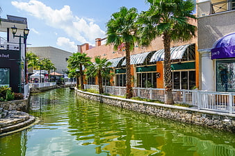 Tropical Canal Scene In Cancun Mexico With Palm Trees And Shops