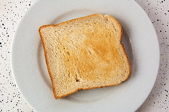Single slice of toasted white bread on a white plate