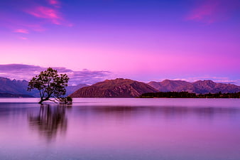 Lone Tree in Lake with Purple Sunset Sky and Mountains