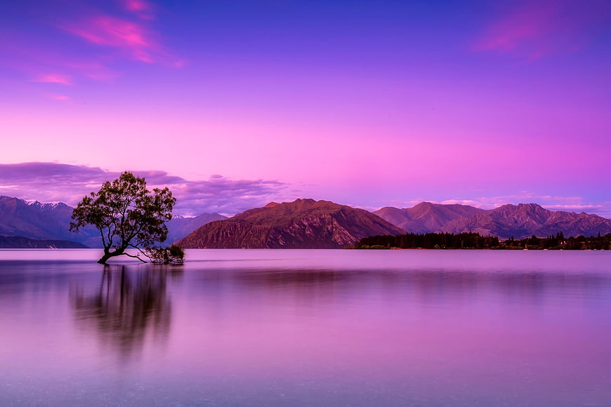 Lone Tree in Lake with Purple Sunset Sky and Mountains