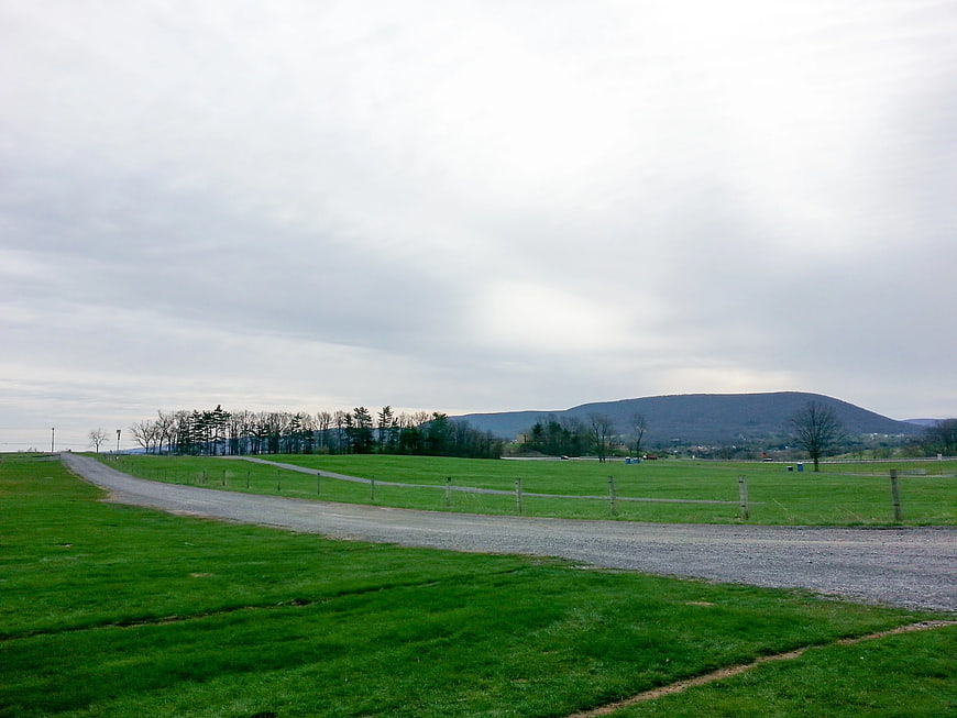 Gravel Road Winding Through Green Pasture with Distant Hills