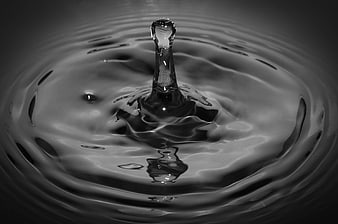 Black and white water droplet splash macro photography