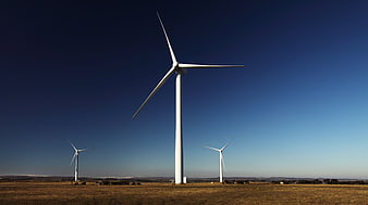 Wind Turbines in Golden Field Under Blue Sky