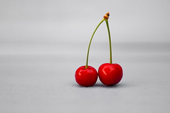 Two Fresh Red Cherries with Stems on White Background