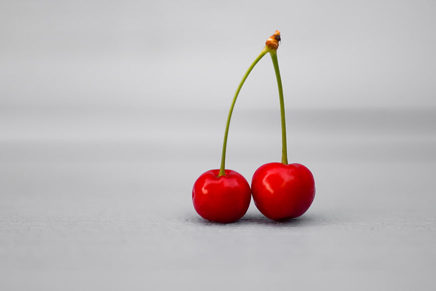 Two Fresh Red Cherries with Stems on White Background