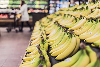 Rows of fresh yellow bananas in a grocery store produce section
