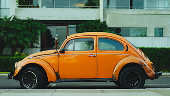 Vintage Orange Volkswagen Beetle Parked on Street