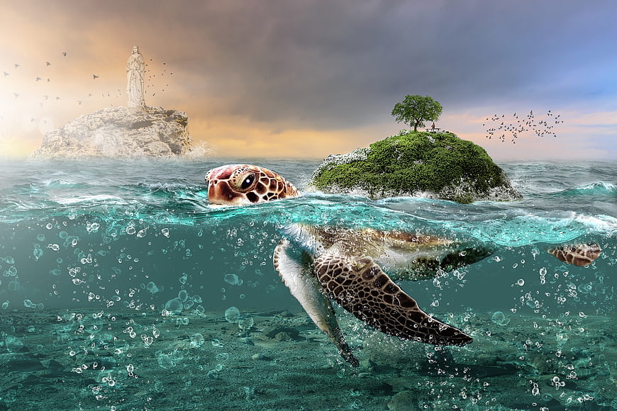 Sea turtle swimming near small island with statue and dramatic sky