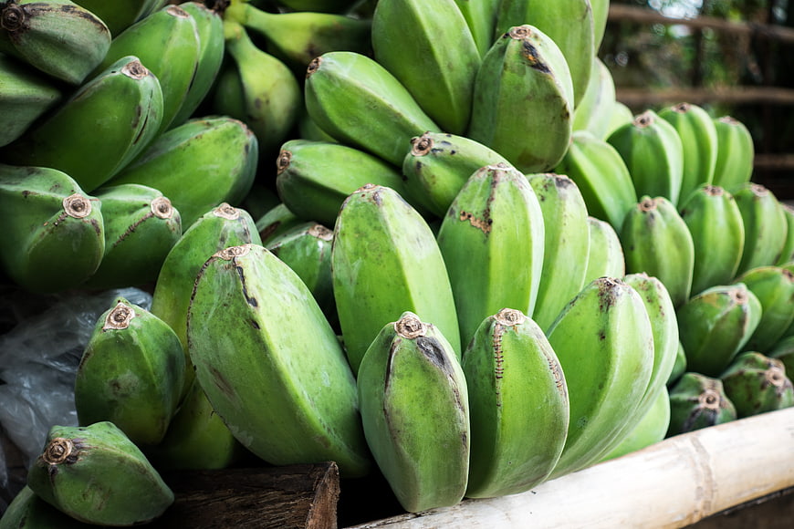 Fresh green cooking bananas stacked in a market display