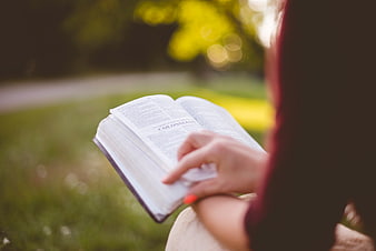 Woman Reading Bible Outdoors in Park