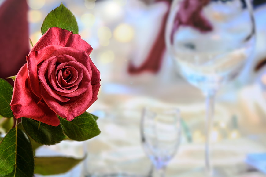 Red Rose on Elegant Table Setting with Blurred Wine Glass