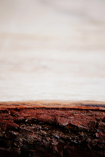 Close-up of rustic chocolate cake texture with blurred background