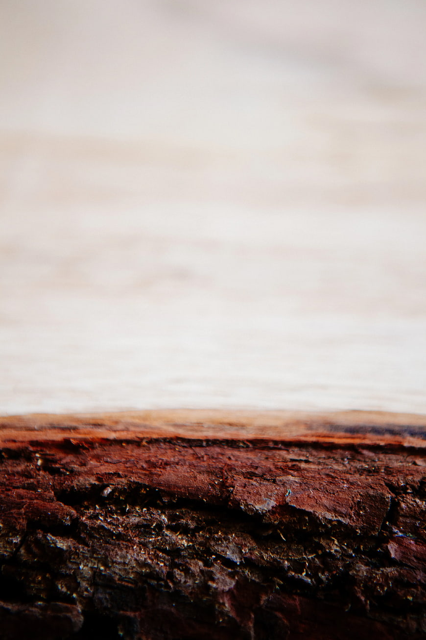 Close-up of rustic chocolate cake texture with blurred background