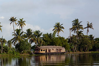 Traditional Houseboat Moored in Kerala Backwaters with Palm Trees