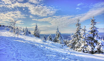 Snowy Winter Mountain Landscape With Frost Covered Fir Trees