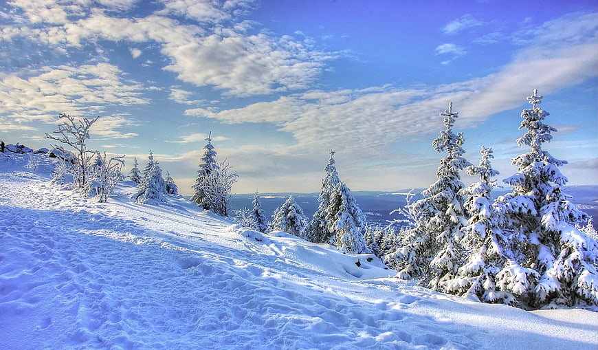 Snowy Winter Mountain Landscape With Frost Covered Fir Trees