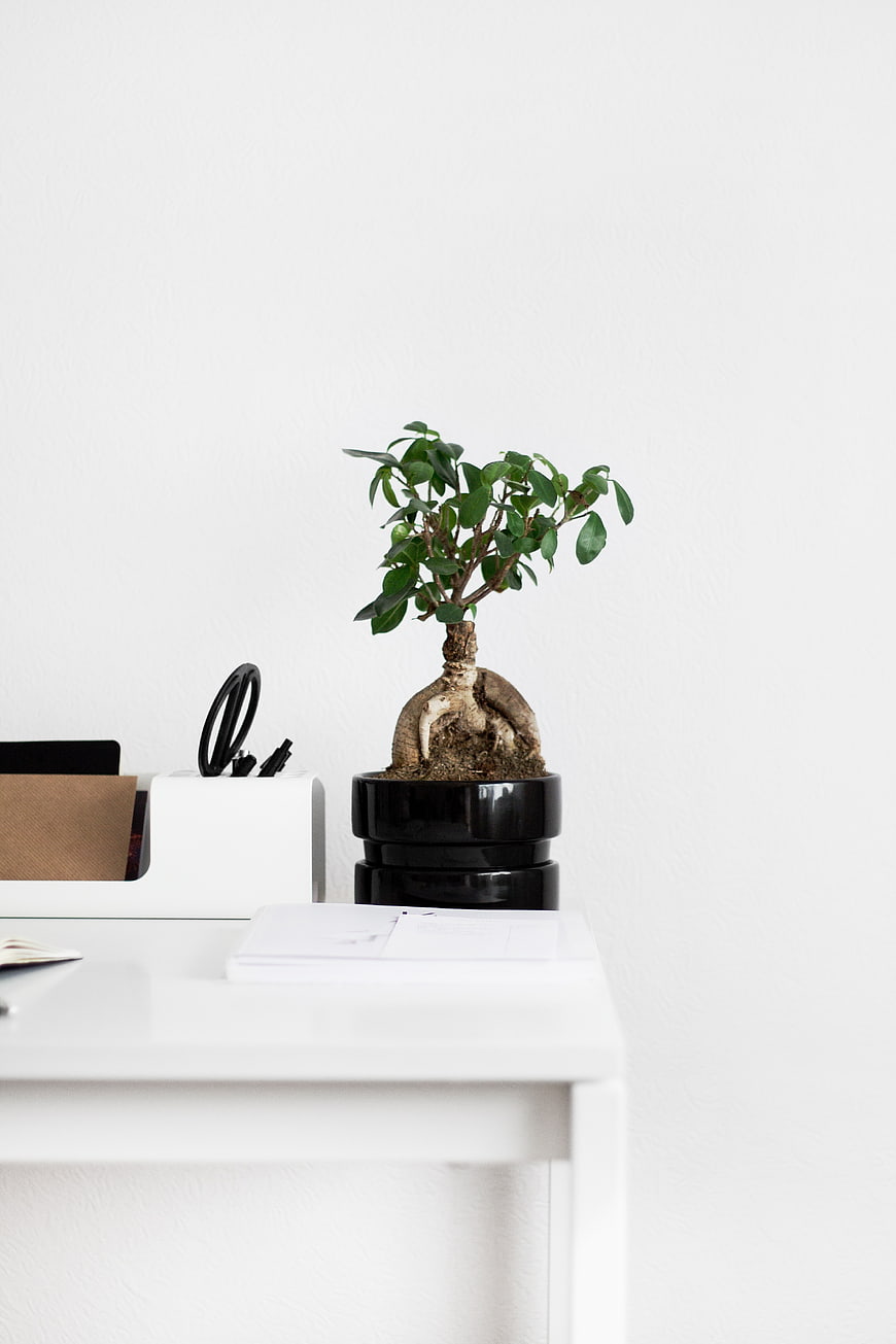 Minimalist white desk with bonsai plant and office supplies