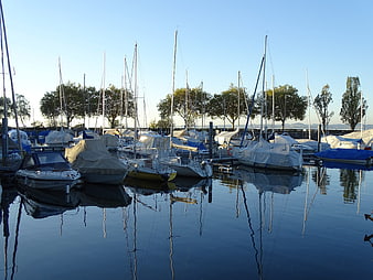 Sailboats docked in calm marina with reflections