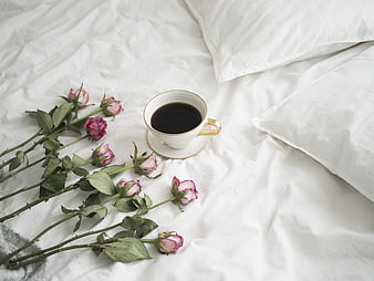 Pink roses and coffee cup on white bed linen