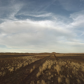 Dirt road stretching through arid landscape under cloudy sky