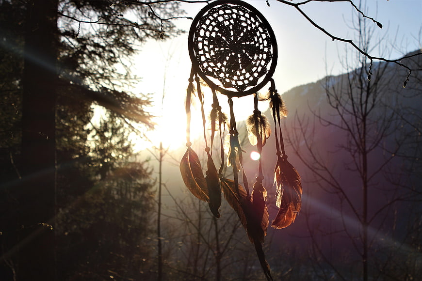 Dreamcatcher with feathers hanging from a tree branch in a sunlit forest