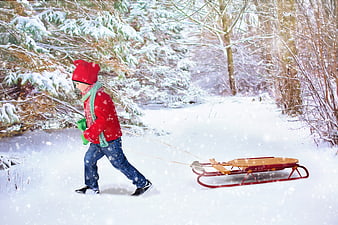 Young boy pulling red sled through snowy winter forest