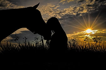 Silhouette of woman and horse at sunset in meadow