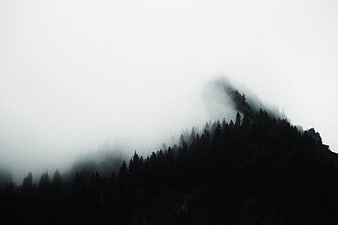 Misty Mountain Forest Silhouette in Fog