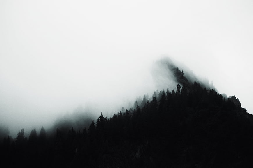 Misty Mountain Forest Silhouette in Fog