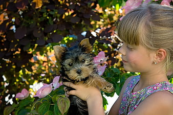 Young Girl Holding Yorkshire Terrier Puppy in Garden