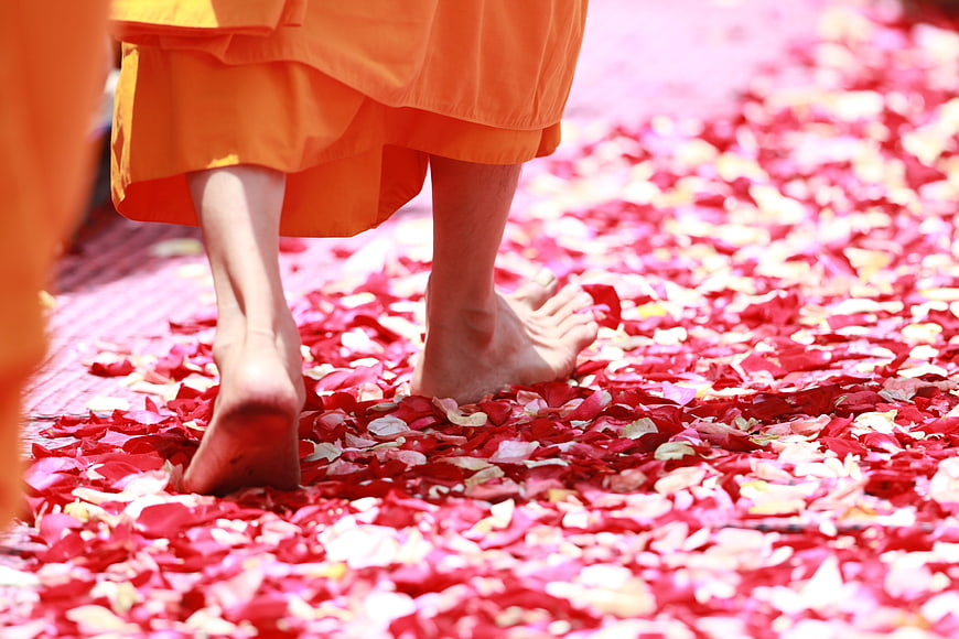 Buddhist Monk Walking Barefoot on Rose Petals