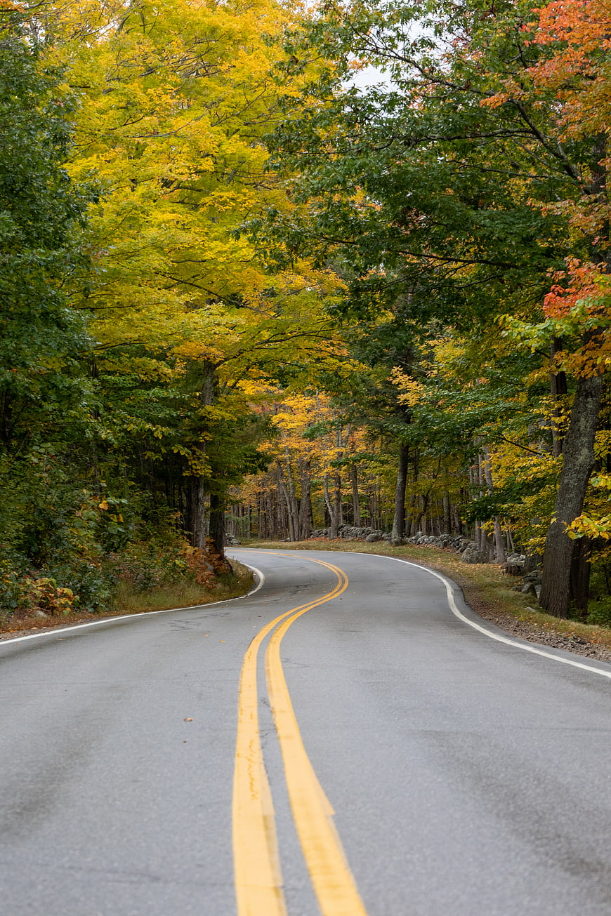 Winding Country Road Through Vibrant Autumn Forest
