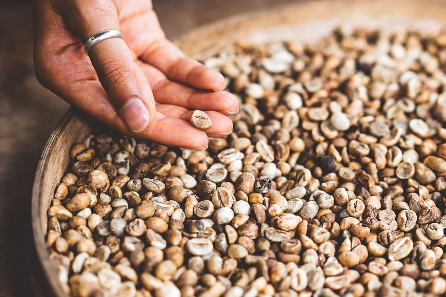 Hand holding green coffee beans over wooden bowl
