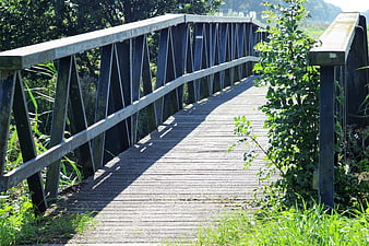 Wooden footbridge path through lush green nature