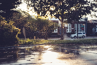 Golden sunlight reflecting on wet pavement with sprinkler mist