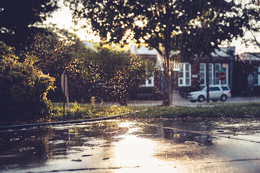 Golden sunlight reflecting on wet pavement with sprinkler mist