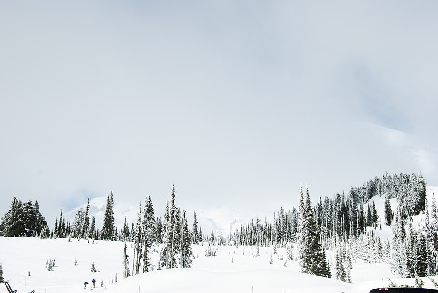 Snowy Mountain Landscape with Pine Trees and Skiers