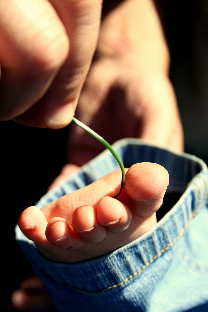 Close-up of baby foot with grass blade and adult hand