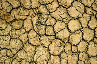Close-up texture of cracked dry earth surface