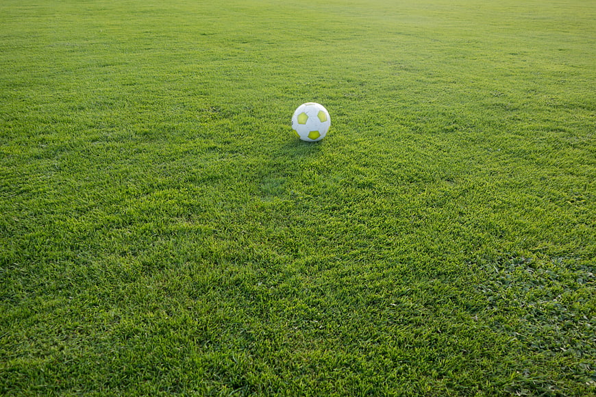 Soccer ball resting on a green grass field