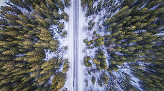 Aerial View of Snowy Road Through Winter Forest